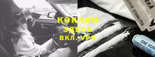 сатива Аркадак