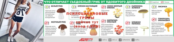 сатива Аркадак