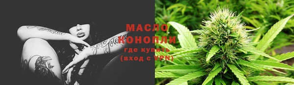 сатива Аркадак