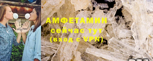 сатива Аркадак