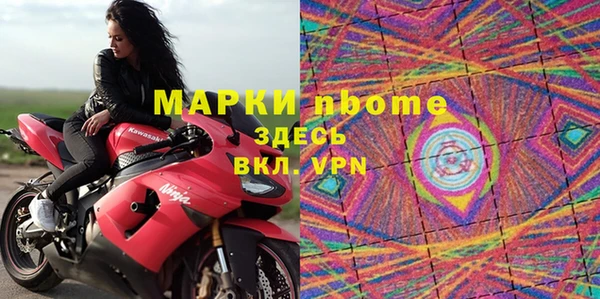 сатива Аркадак